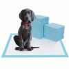 40pcs Pet Training et Puppy Pad Pad pour chiens Super absorbant et sans fuite - Bleu de Ciel 