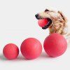 Dressage chien balle mordante balle en caoutchouc solide balle jouet animal de compagnie - Rouge 