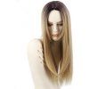 Perruque de femmes synthétique perruque synthétique droite ombre blonde résistante à la chaleur - Brun Légère 1PC