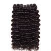 Indian Hair 3 Bundles avec Fermeture Extensions de cheveux humains bouclés profonds - Noir Naturel 10INCH X 10INCH X 10INCH X CLOSURE 10INCH