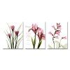 DYC 3PCS Art d'impression de fleurs rouges fraîches - multicolor 