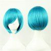 Anime Cos couleur perruque courte perruque de cheveux raides Cosplay perruque Anime - Bleu Zircon 
