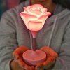 Ambiance romantique Rose Veilleuse - Rose 