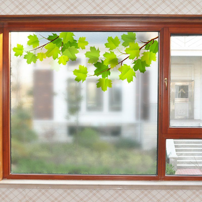 Матовое окно купить. Окно с матовым стеклом. Матовые окна. Матовое окно с ветками деревьев.