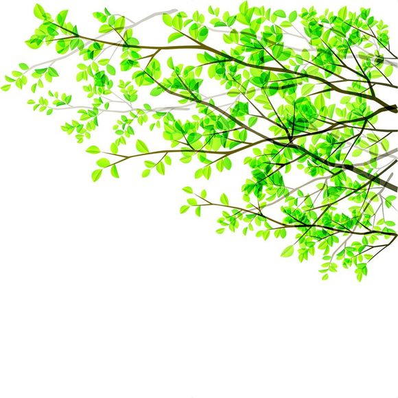 Autocollant Mural Film de Fenêtre de Branches Vertes en PVC Mat - multicolor 60X58CM