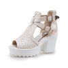 Été bouche de poisson creux talon haut fermeture éclair boucle de ceinture boucle sandales à talons épais - Beige EU 43