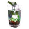 Mini LED Aquarium Créatif Réservoir de Poisson de Ecologique pour Enfants Cadeaux - Transparent 